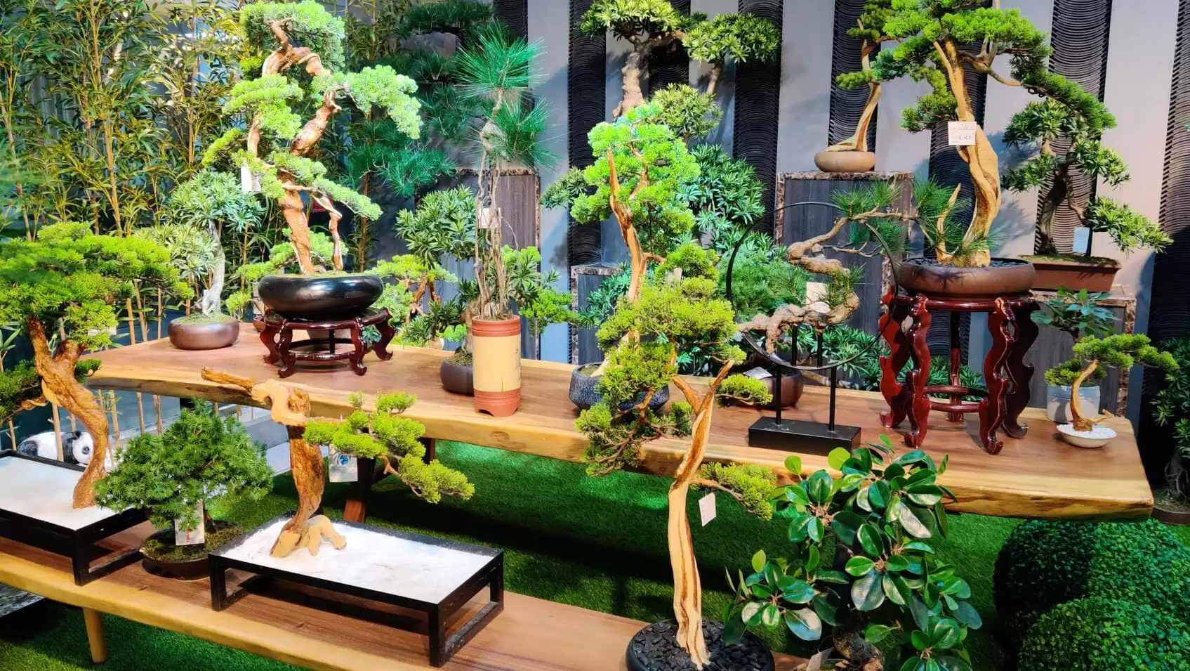 Photograph of Artificial Plants & Trees & Bonsai & Flowers -  up-close-shot (03)